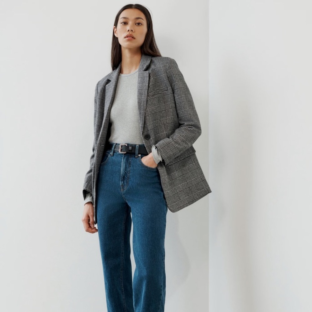 Everlane The Italian Wool Oversize Blazer 12